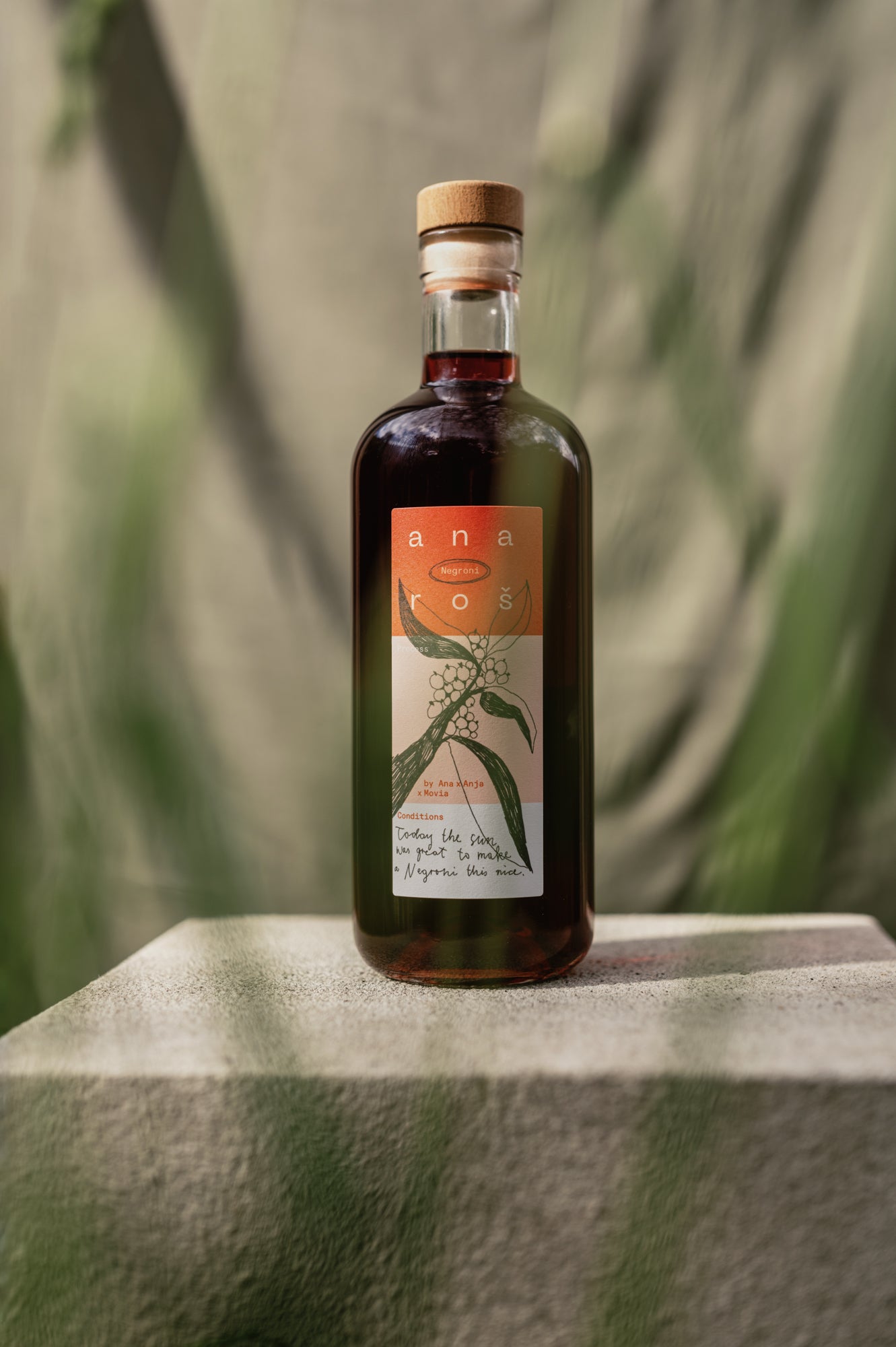 Ana Roš Negroni