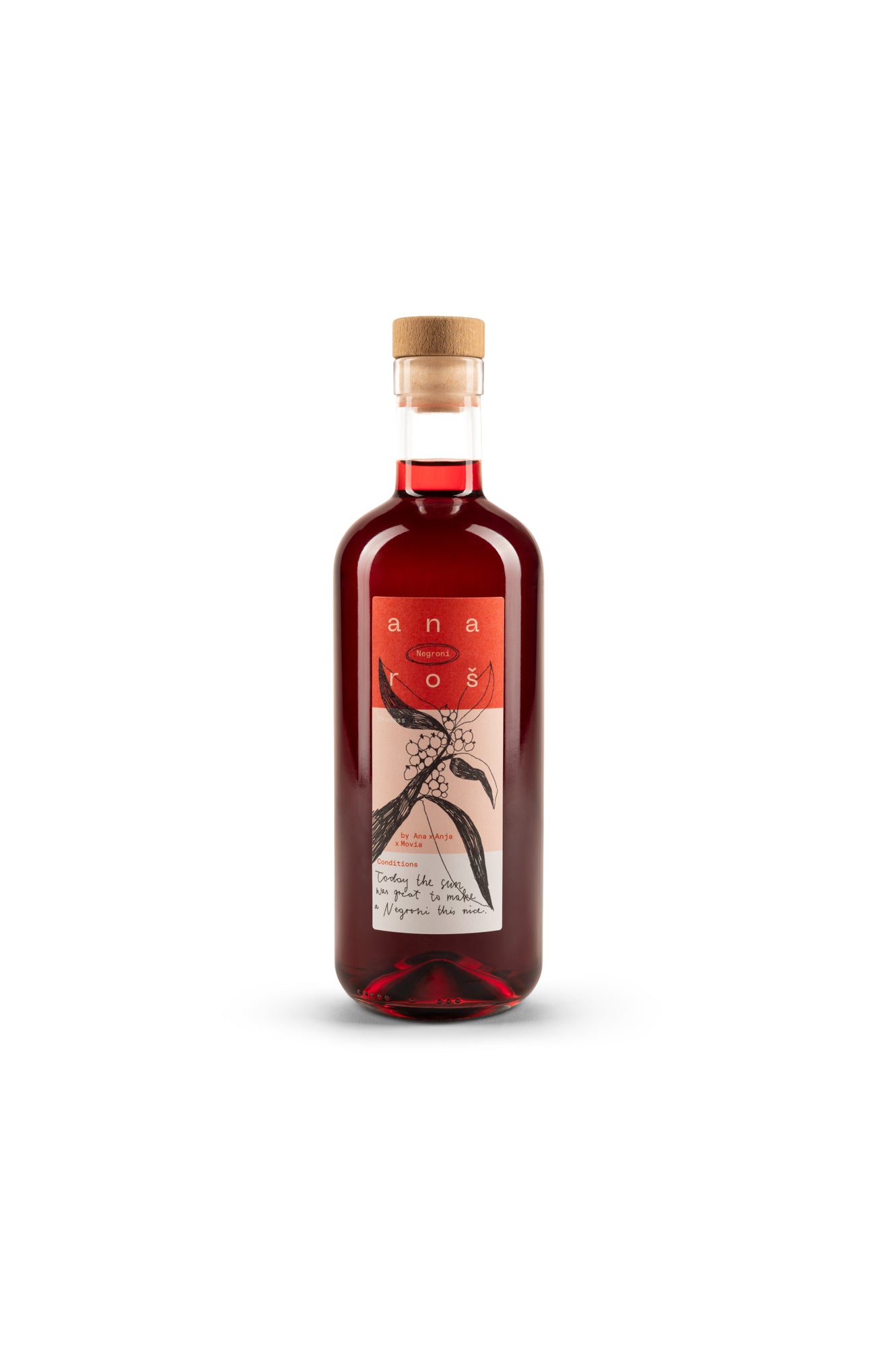 Ana Roš Negroni